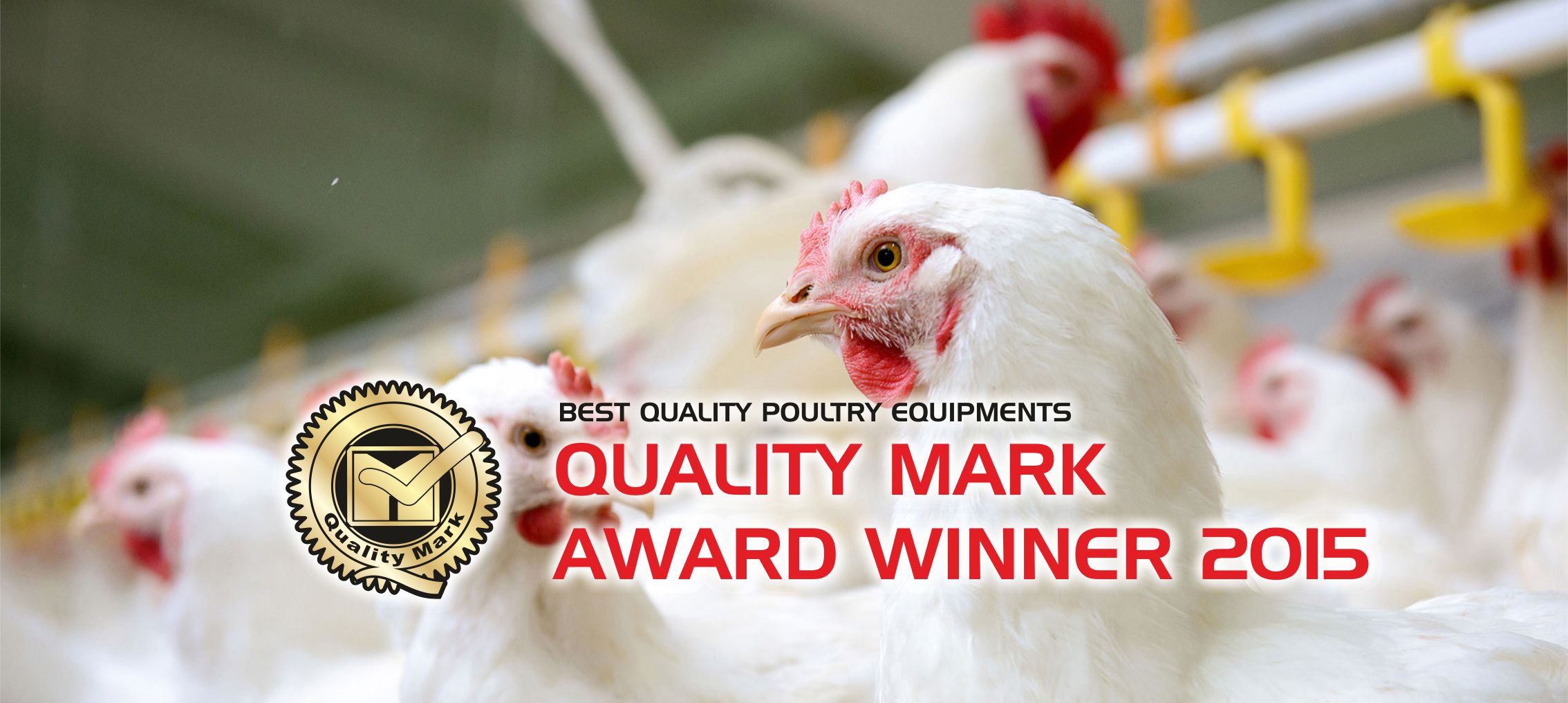 Best Quality Poultry Equipments