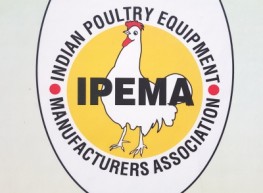 IPEMA Membership